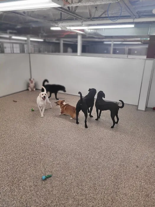 Animal Medical Center of the Upper Valley 3