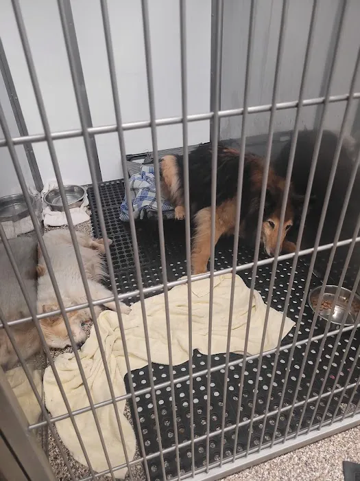 Animal Medical Center of the Upper Valley 2