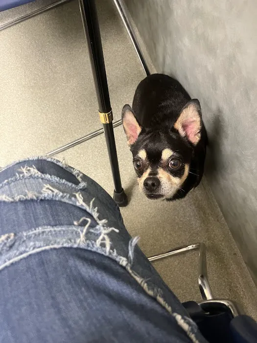 Veremedy Pet Hospital 9