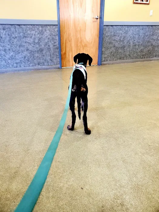 Veremedy Pet Hospital 7