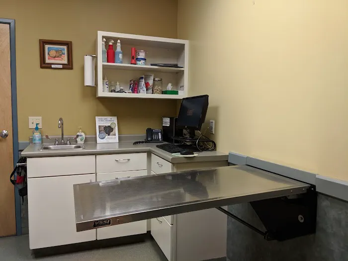 Veremedy Pet Hospital 1
