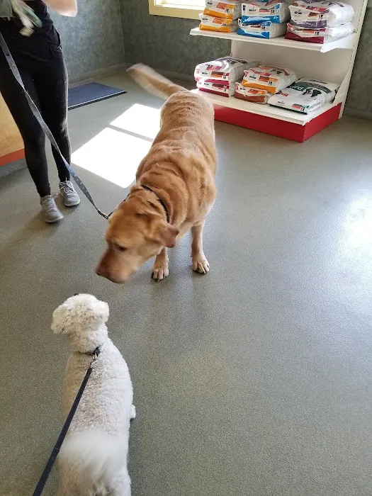 Veremedy Pet Hospital 3