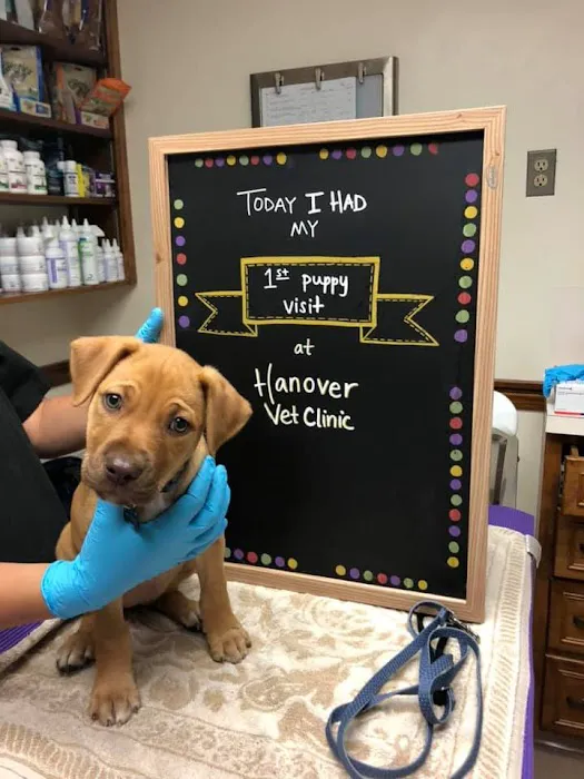 Hanover Veterinary Clinic 4