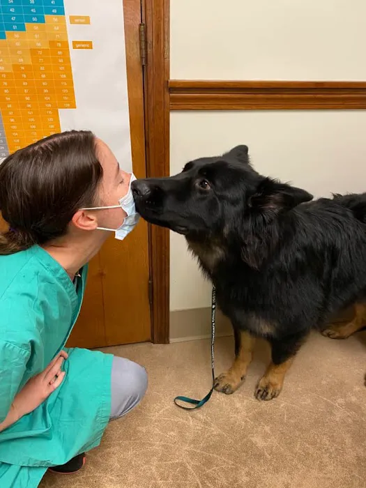 Hanover Veterinary Clinic 6
