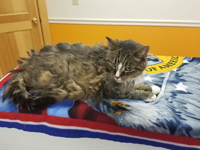 Northern Lakes Veterinary Hospital 8