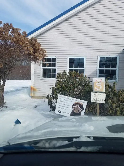 Plymouth Animal Hospital: Tighe Ellyn K DVM 7