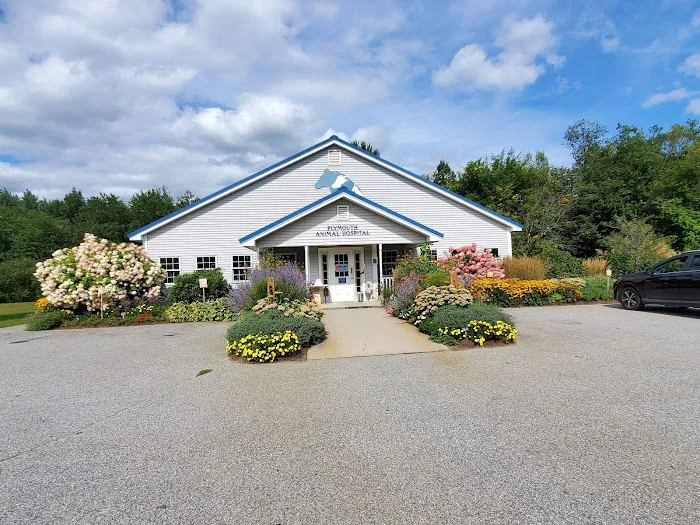 Plymouth Animal Hospital: Tighe Ellyn K DVM 3