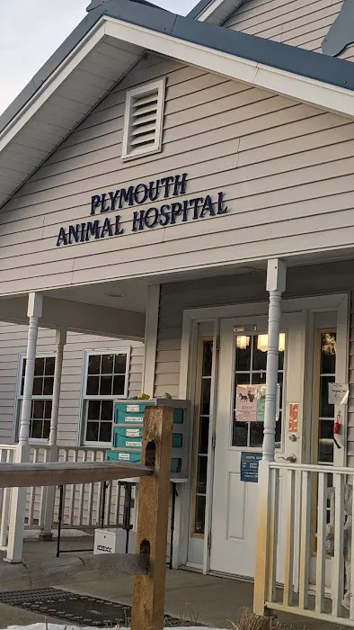 Plymouth Animal Hospital: Tighe Ellyn K DVM 8