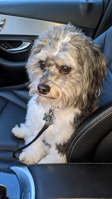 Plymouth Animal Hospital: Tighe Ellyn K DVM 1