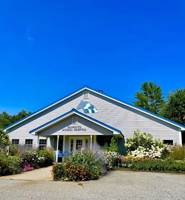 Plymouth Animal Hospital 3