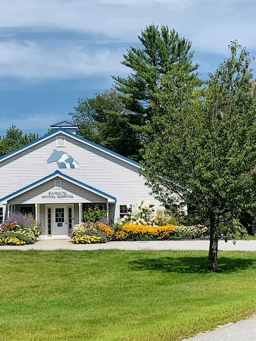 Plymouth Animal Hospital 2