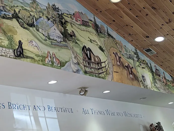 Plymouth Animal Hospital 9