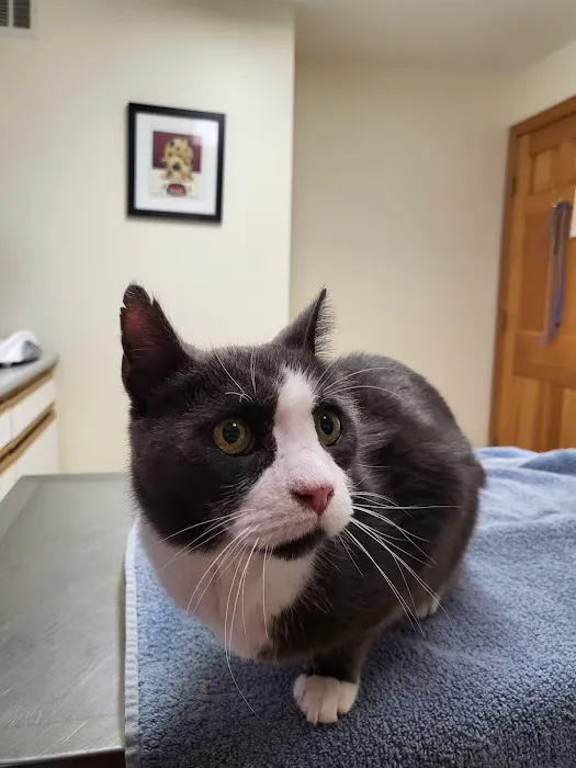 Interlakes Animal Hospital 2