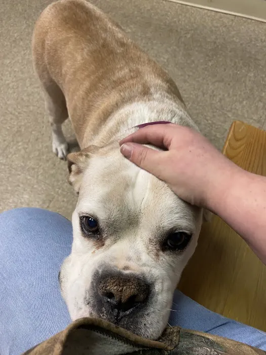Meredith Place Veterinary Emergency Hospital 5