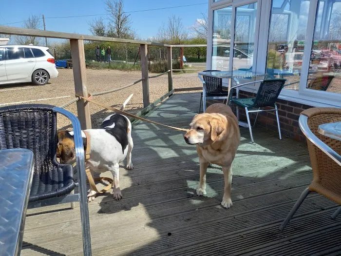 River Road Veterinary Clinic 5