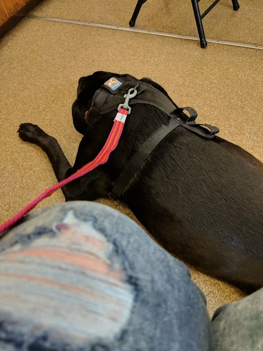 Rumney Animal Hospital 9