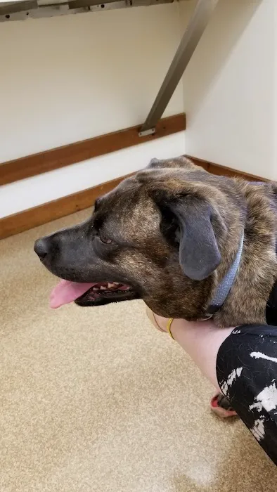 Rumney Animal Hospital 6