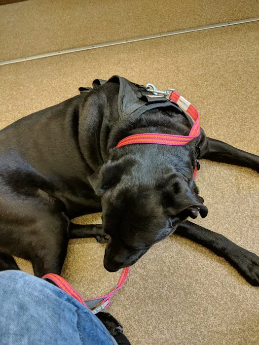 Rumney Animal Hospital 4
