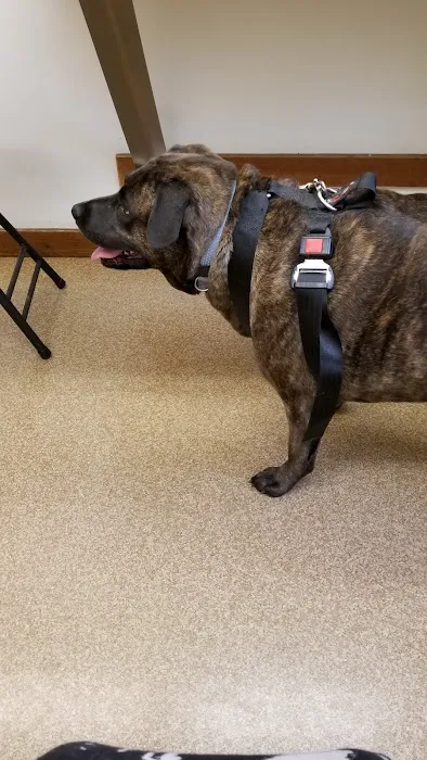 Rumney Animal Hospital 3