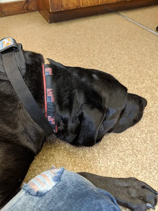 Rumney Animal Hospital 10