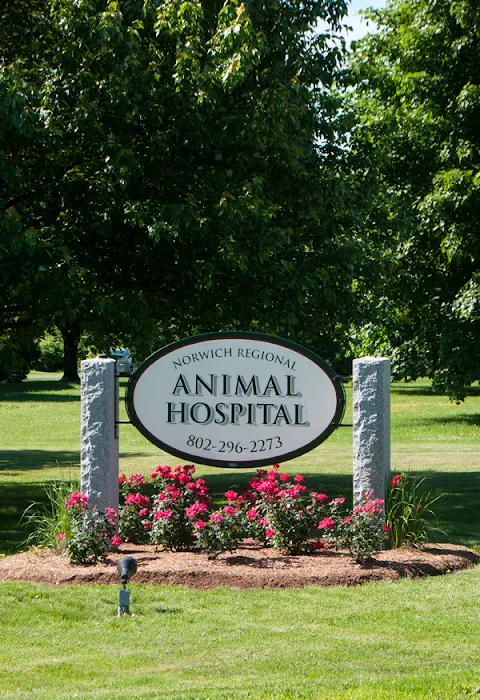 Norwich Regional Animal Hospital 10