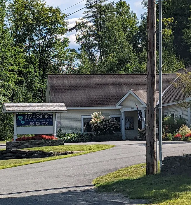 Riverside's Ludlow Veterinary Clinic 2