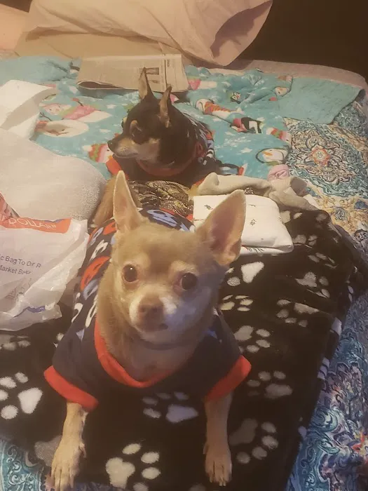 Walpole Veterinary Hospital 6