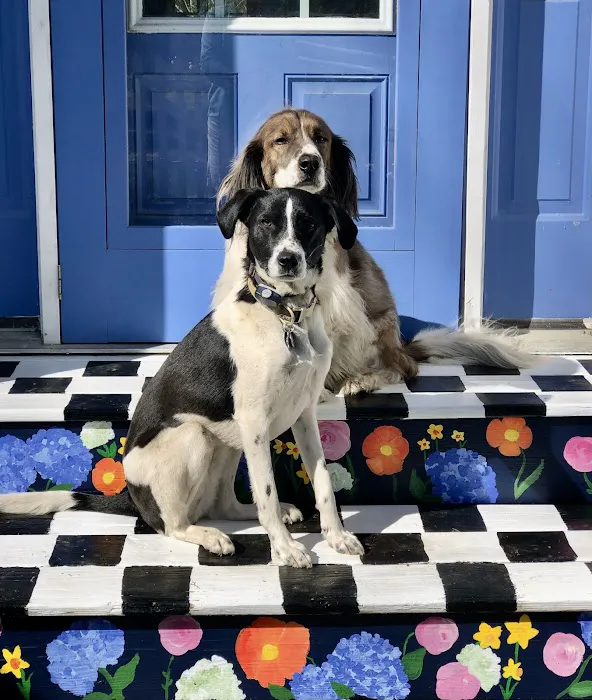 Veremedy Pet Hospital 6