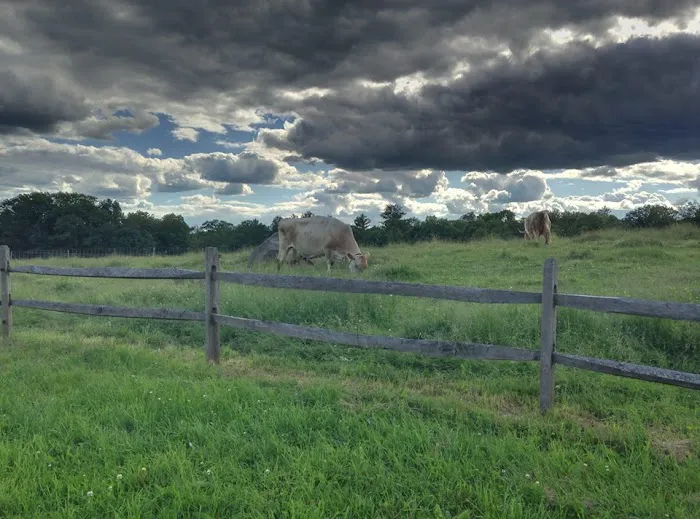 Clover Acres Livestock Veterinary Services 5