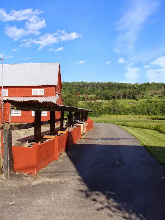 Clover Acres Livestock Veterinary Services 2