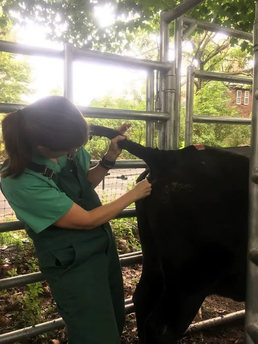 Clover Acres Livestock Veterinary Services 8