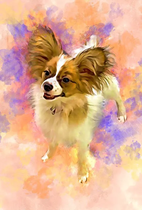 Candray Pet Care Center 3