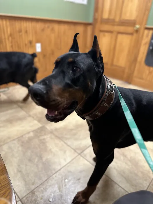 Deerfield Veterinary Clinic 8