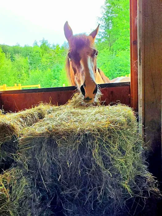 Deerfield Veterinary Clinic 3