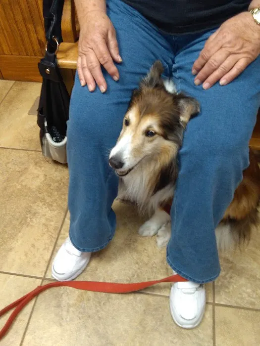 Deerfield Veterinary Clinic 9