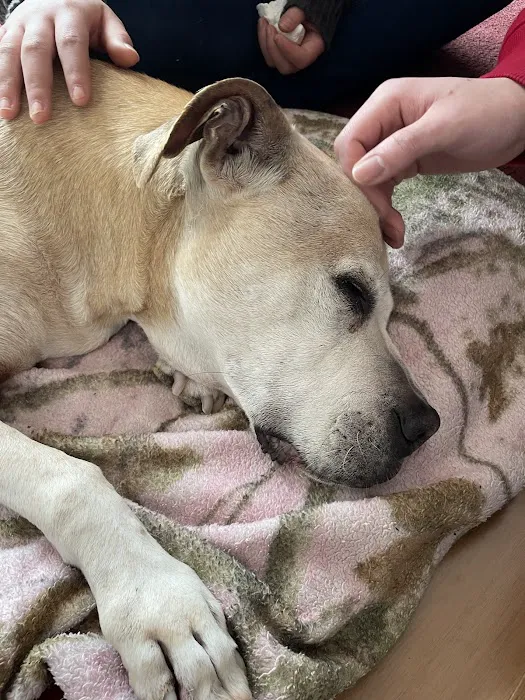ARK Animal Homecare, PLLC 1