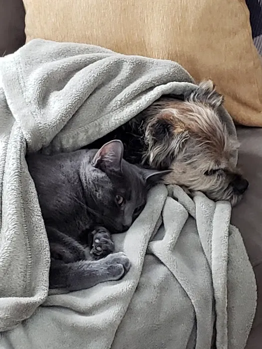 ARK Animal Homecare, PLLC 8