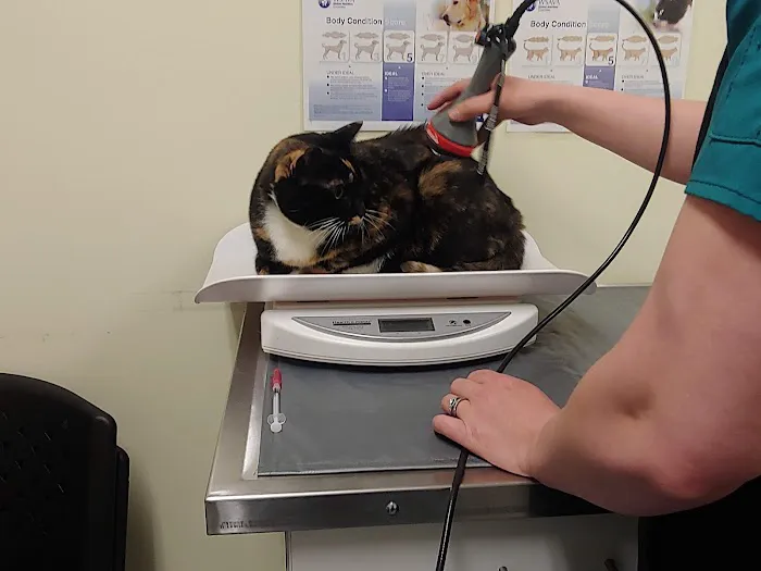 Suncook River Veterinary Clinic 1