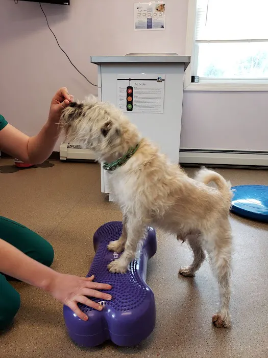 Suncook River Veterinary Clinic 3