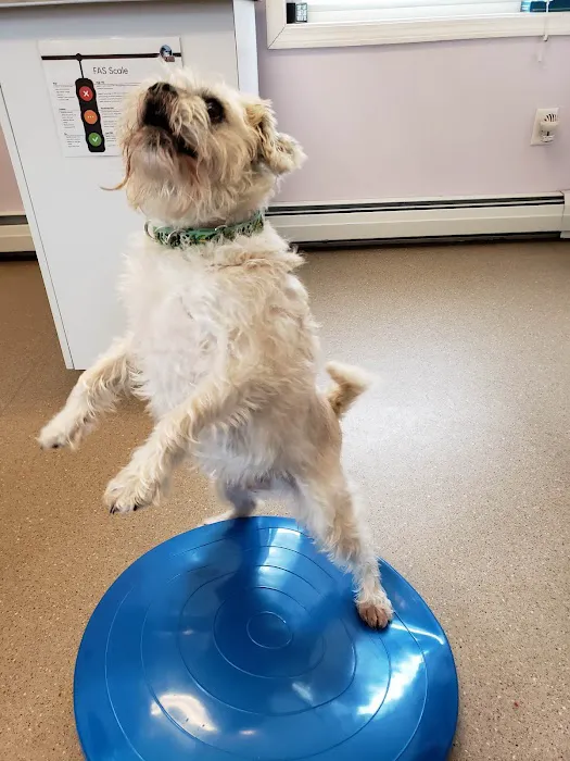Suncook River Veterinary Clinic 8