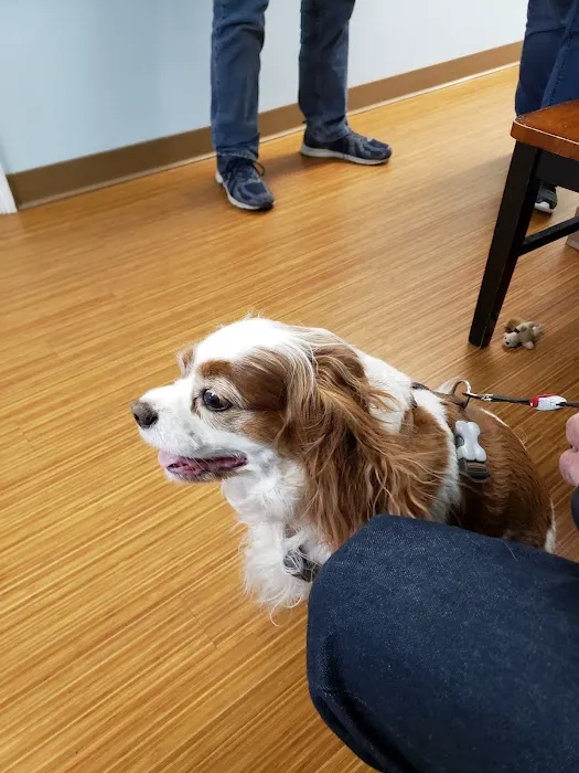 Cushing Square Veterinary Clinic 7