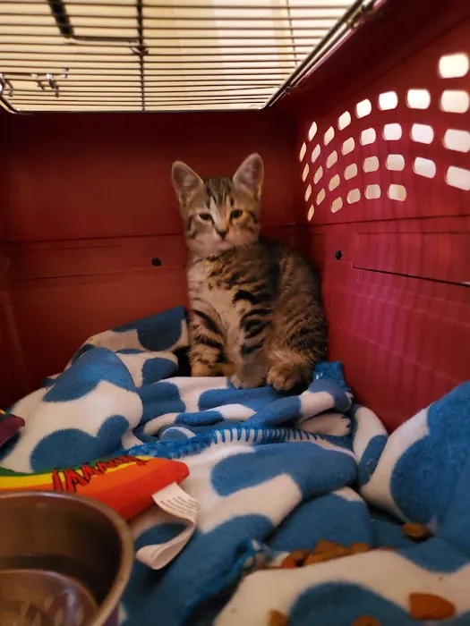 Pet Haven Animal Hospital 6