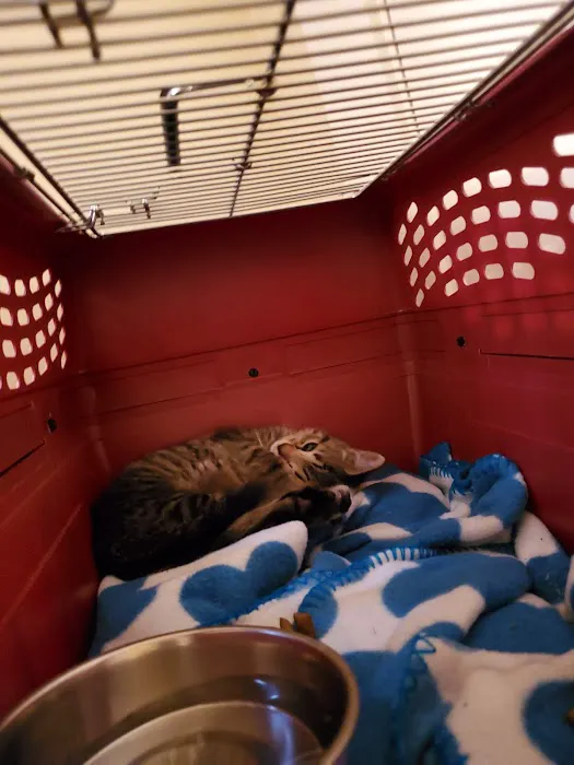 Pet Haven Animal Hospital 3