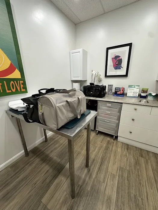 Pet Haven Animal Hospital 8