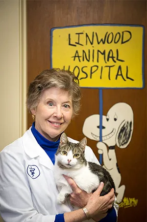 Linwood Animal Hospital 3