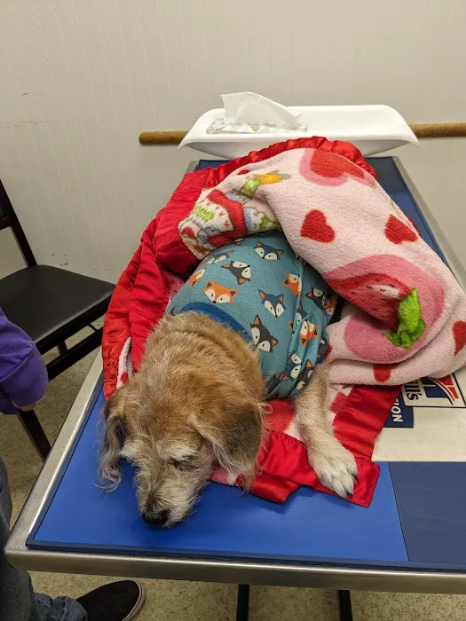 Linwood Animal Hospital 4