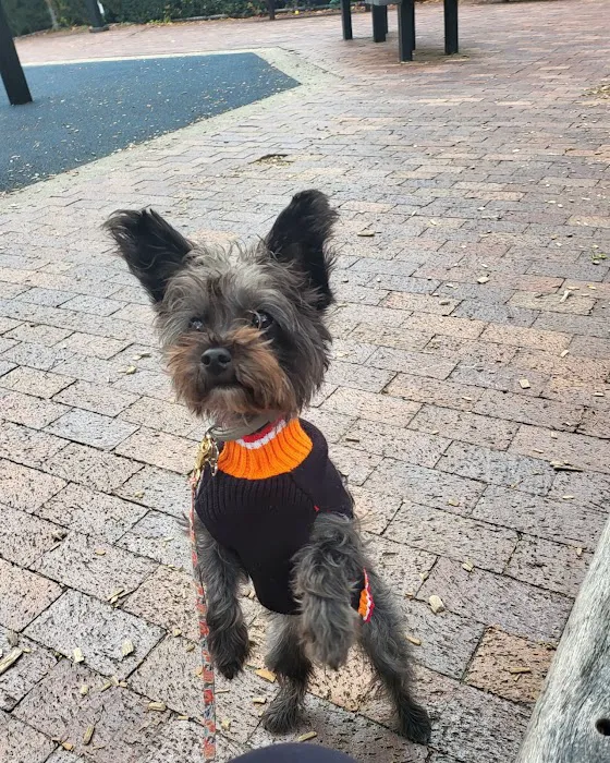 Wignall Animal Hospital, A Thrive Pet Healthcare Partner 5