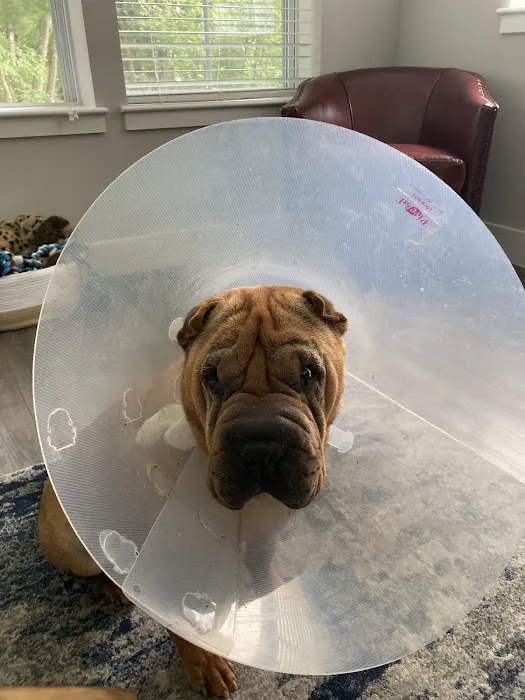 Massachusetts Veterinary Referral Hospital 3