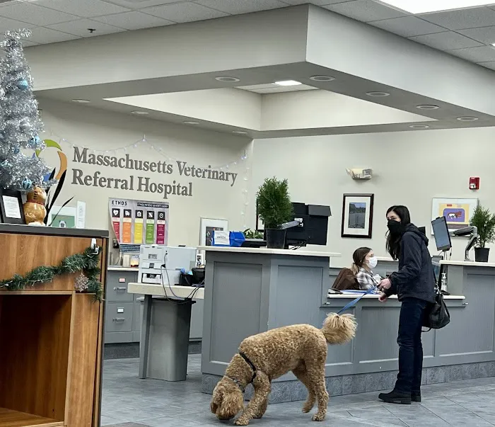 Massachusetts Veterinary Referral Hospital 9