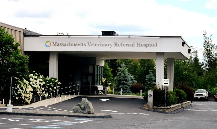 Massachusetts Veterinary Referral Hospital 8